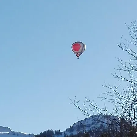 Ferienwohnung Donnerkogel *
