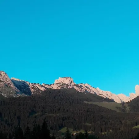 Lejlighed Ferienwohnung Donnerkogel *